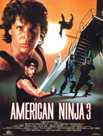 American Ninja 3