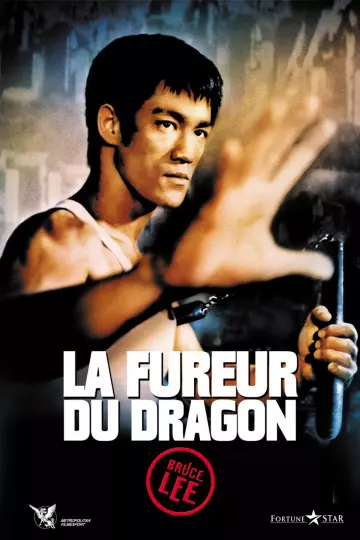 La Fureur du dragon