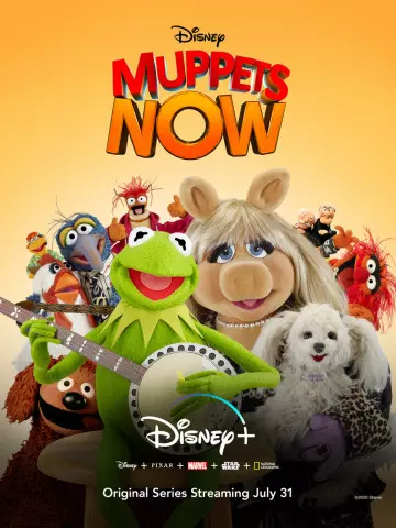 Le Nouveau Muppet Show