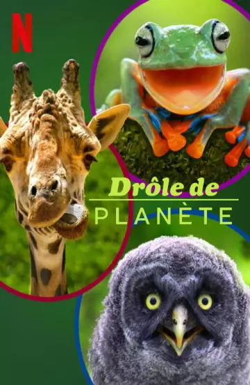 Drôle de planète